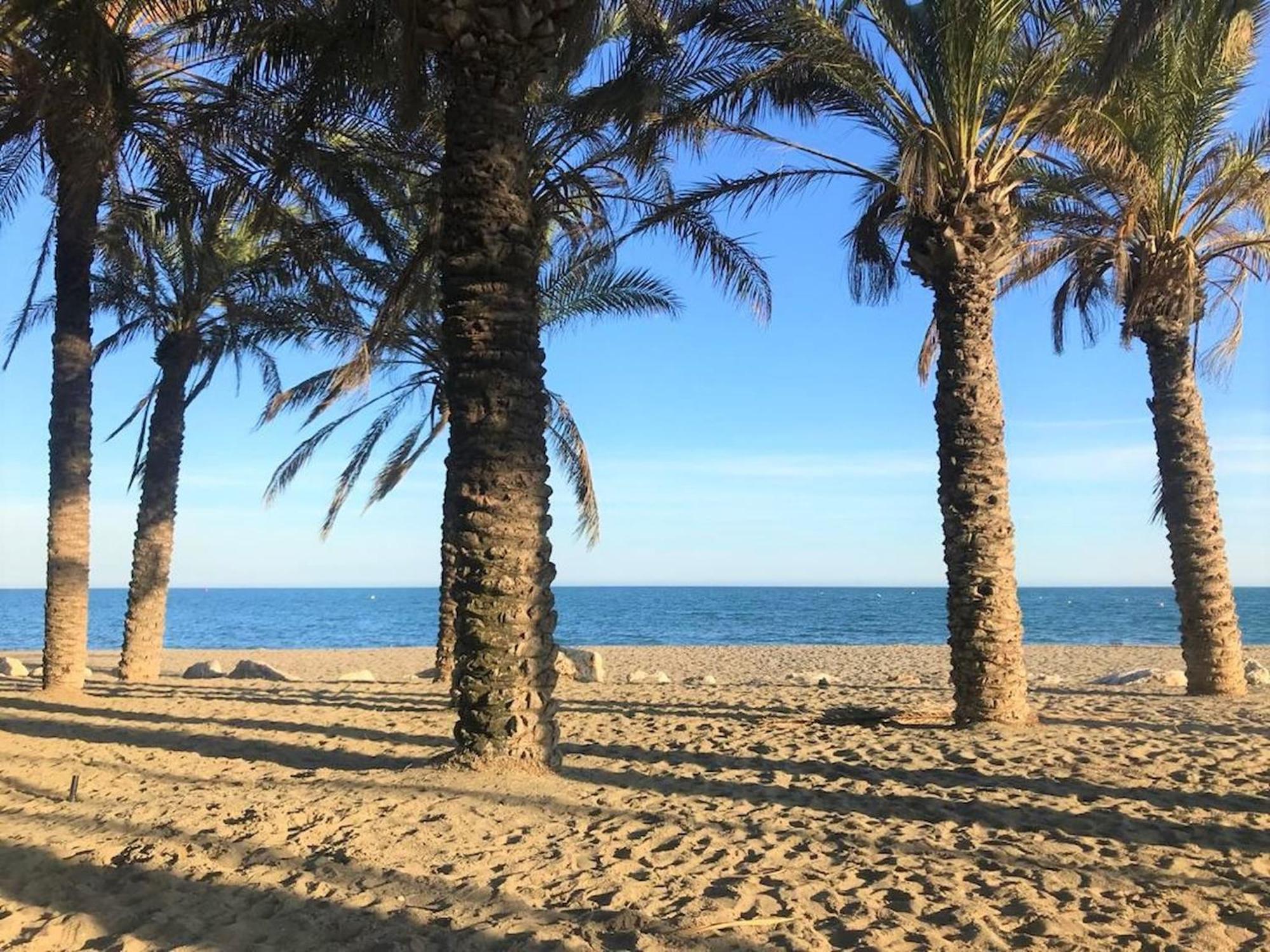 Appartement Large Deluxe Front Sea View Benalbeach *