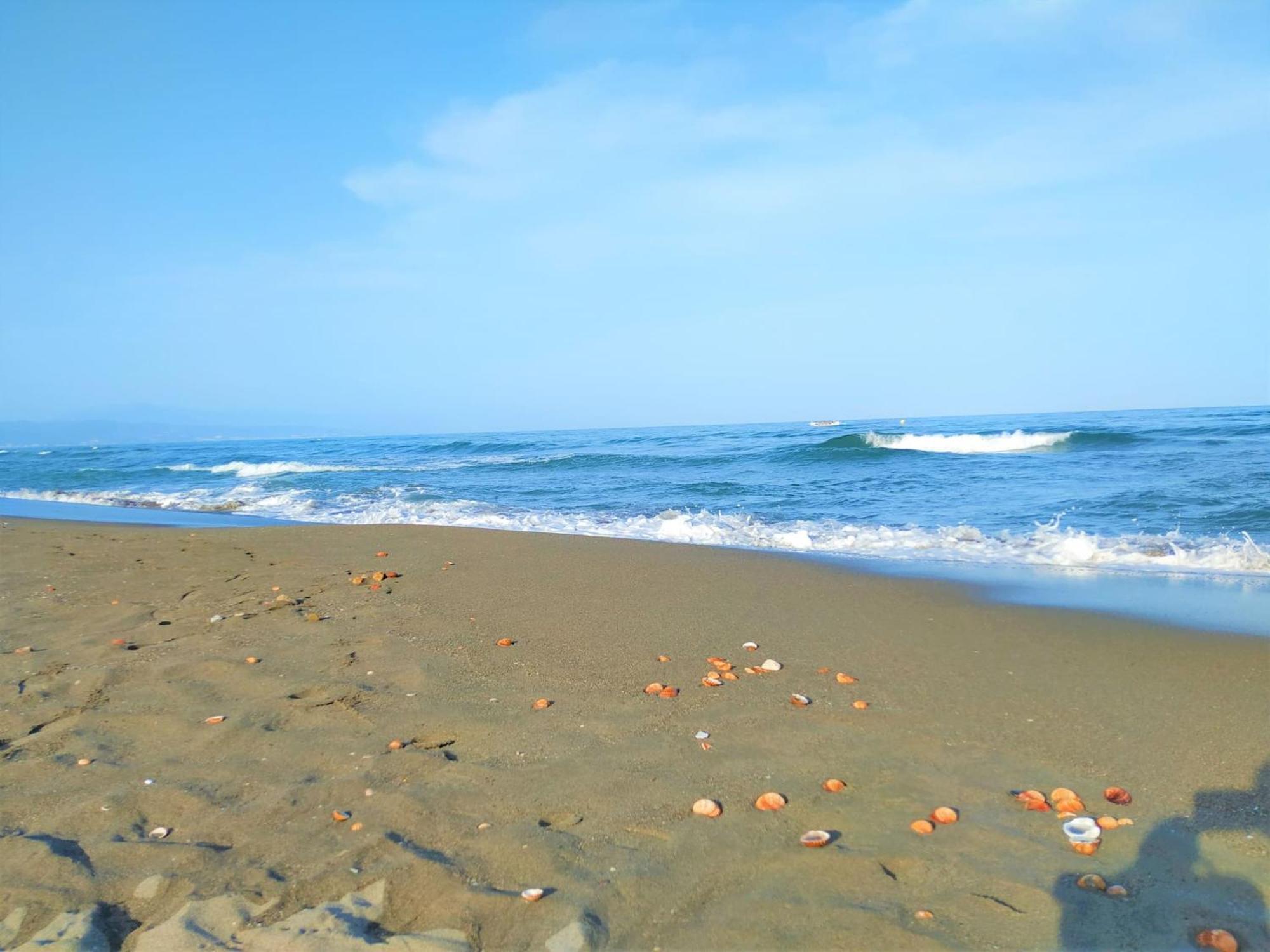 Large Deluxe Front Sea View Benalbeach * Benalmadena
